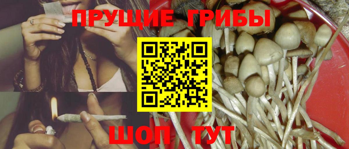 Геленджик  Галлюциногенные грибы Magic Shrooms  Вход с VPN 